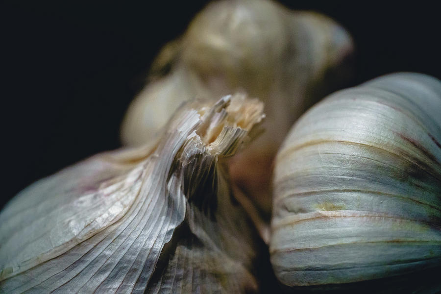 Garlic Photograph by Nisah Cheatham