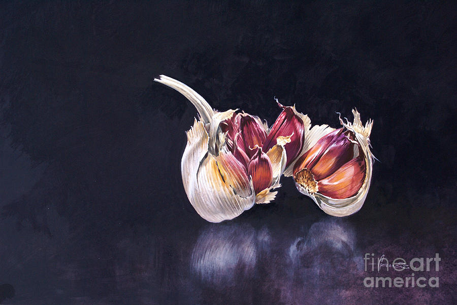 Still Life Painting - Garlic on Black by MGL Meiklejohn Graphics Licensing