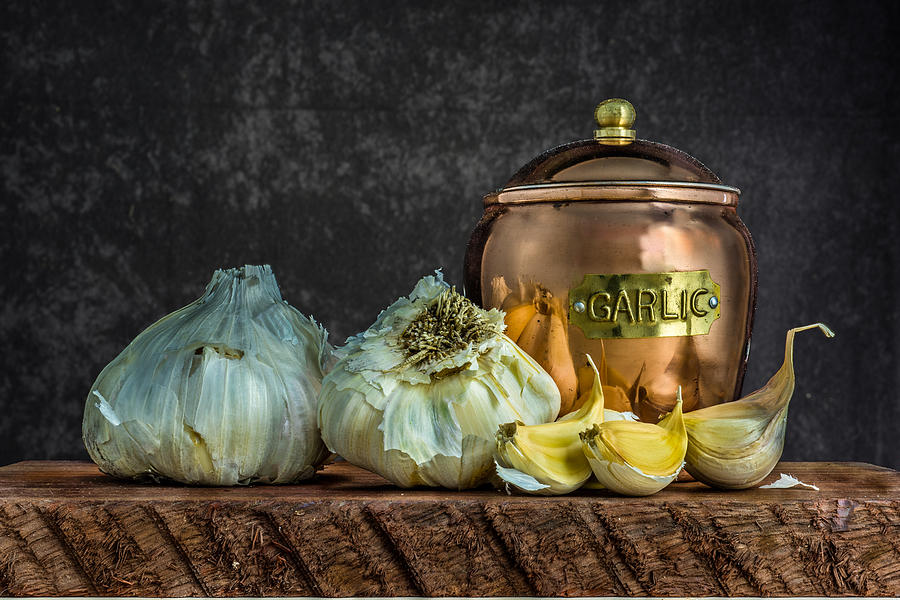 Garlic Photograph by Paul Freidlund