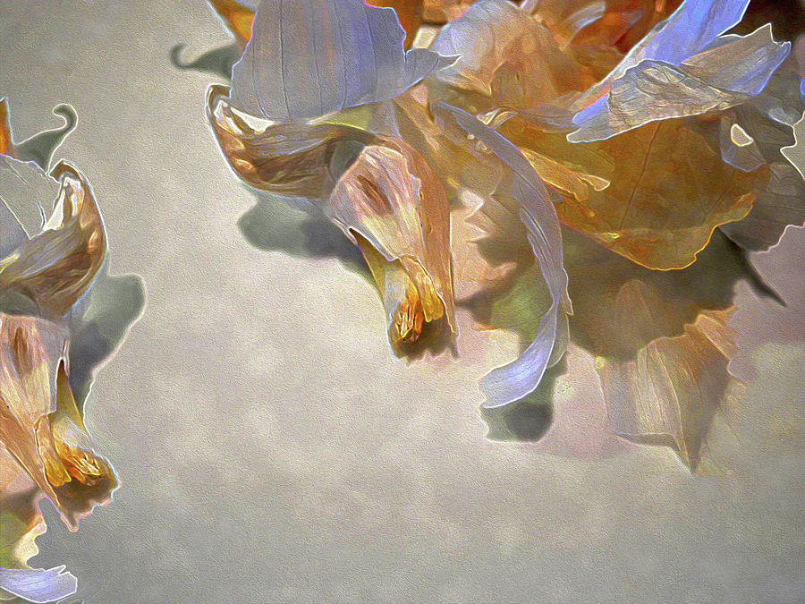 Garlic Skin Gossamer Digital Art by Lynda Lehmann