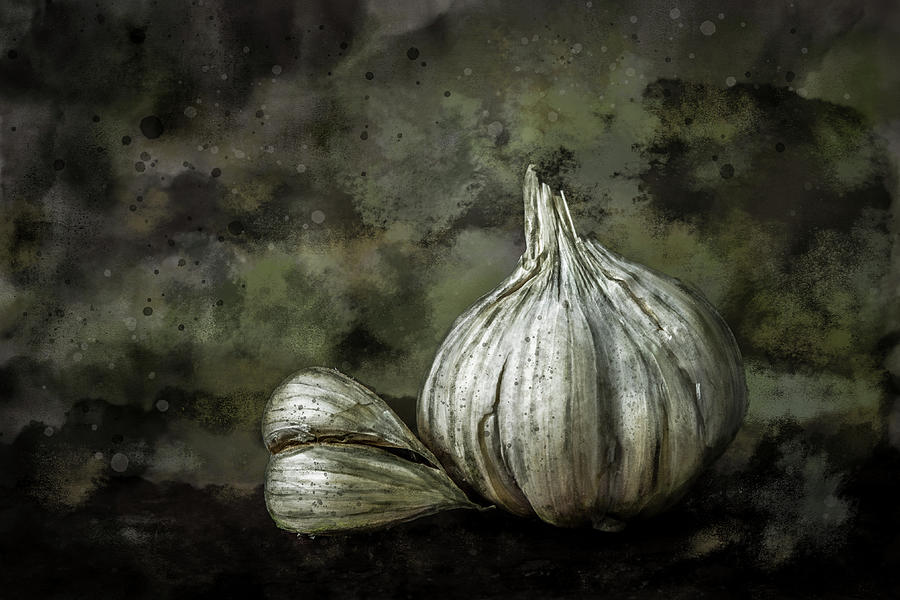 Garlic Still Life Color Photograph by Michael Arend