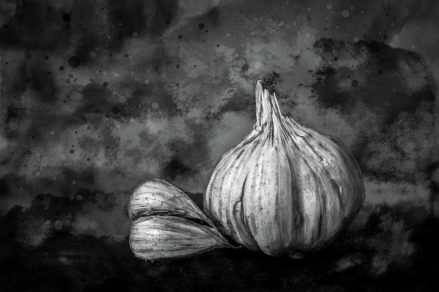 Garlic Still Life In Black And White Photograph by Michael Arend