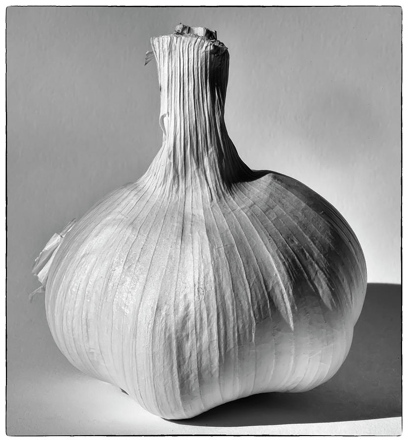 Garlic Still Life Photograph by Robert Ullmann