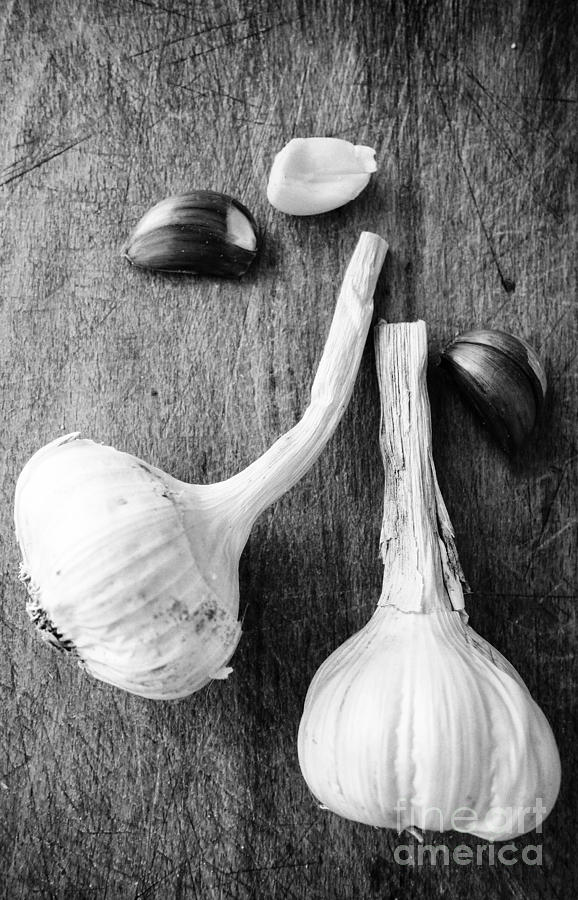 Bulbs Photograph - Garlic Still Life by Steve Outram