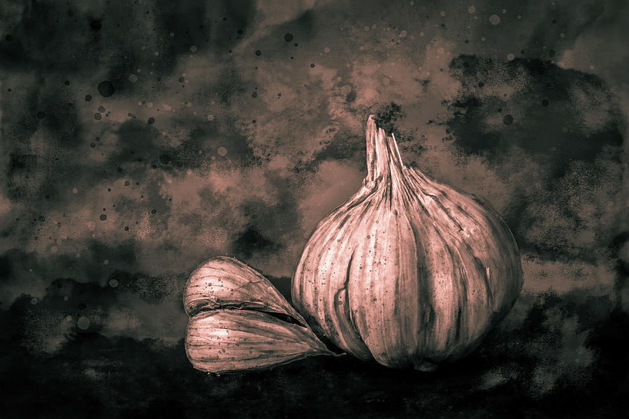 Garlic Still Life Toned Photograph by Michael Arend