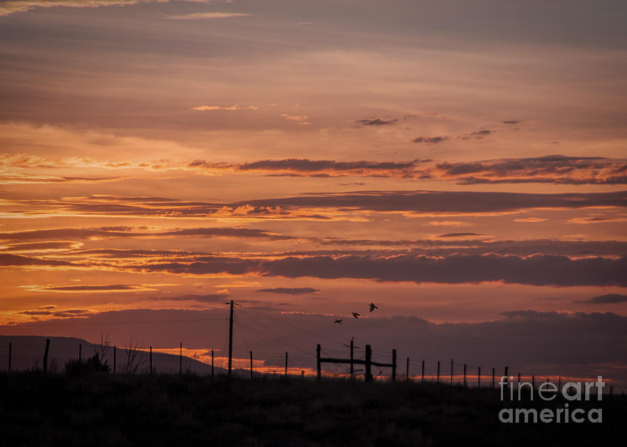 Garnet Mesa Colorado Sunset Photograph by Janice Pariza