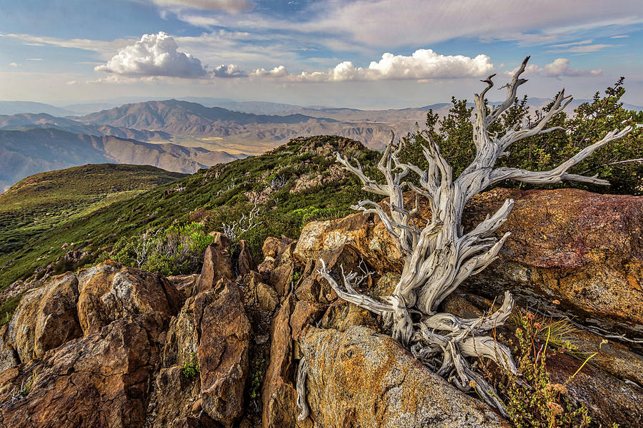 Garnet Peak Photograph by Peter Tellone