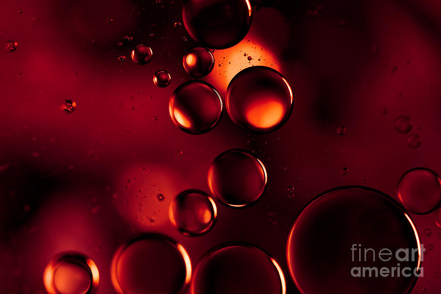 Garnet Red Macro Water Droplets Photograph by Sharon Mau