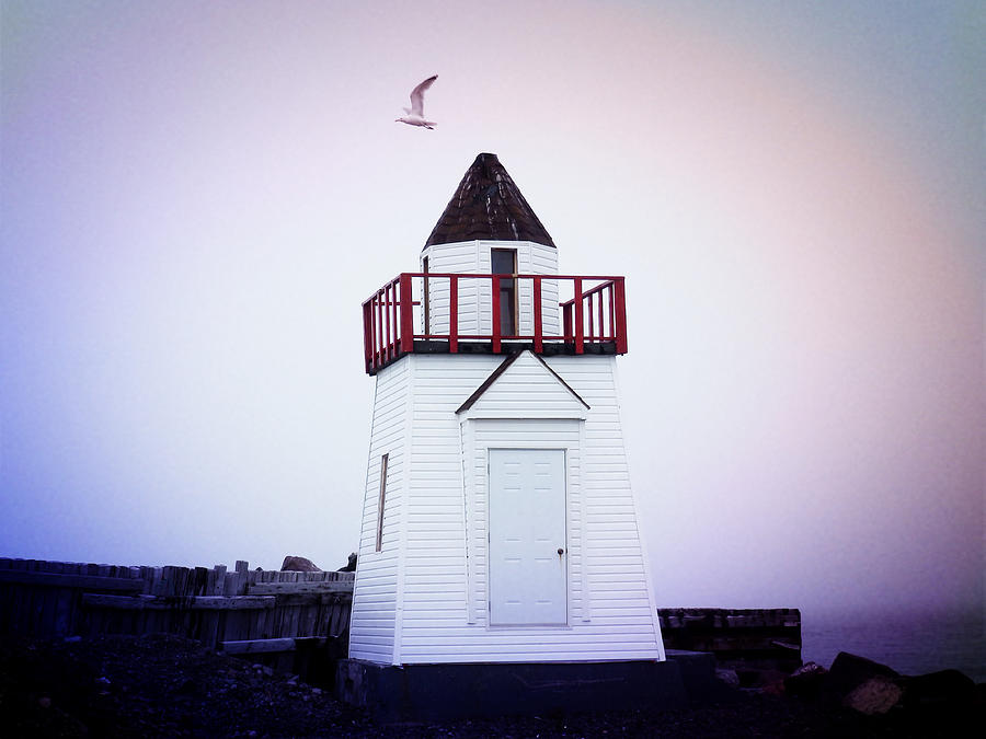 Garnish Lighthouse Photograph by Zinvolle Art