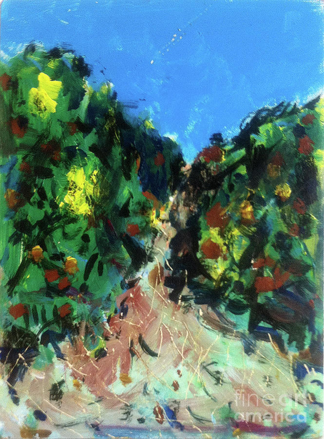 Tree Painting - Garrigue path up Pic Saint Loup by David Abse