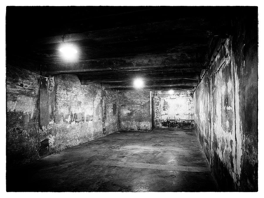 Gas Chamber At Auschwitz Photograph by Doug Matthews