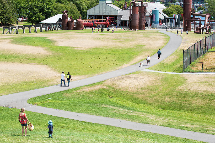 Gas Works Park Paths Photograph by Tom Cochran