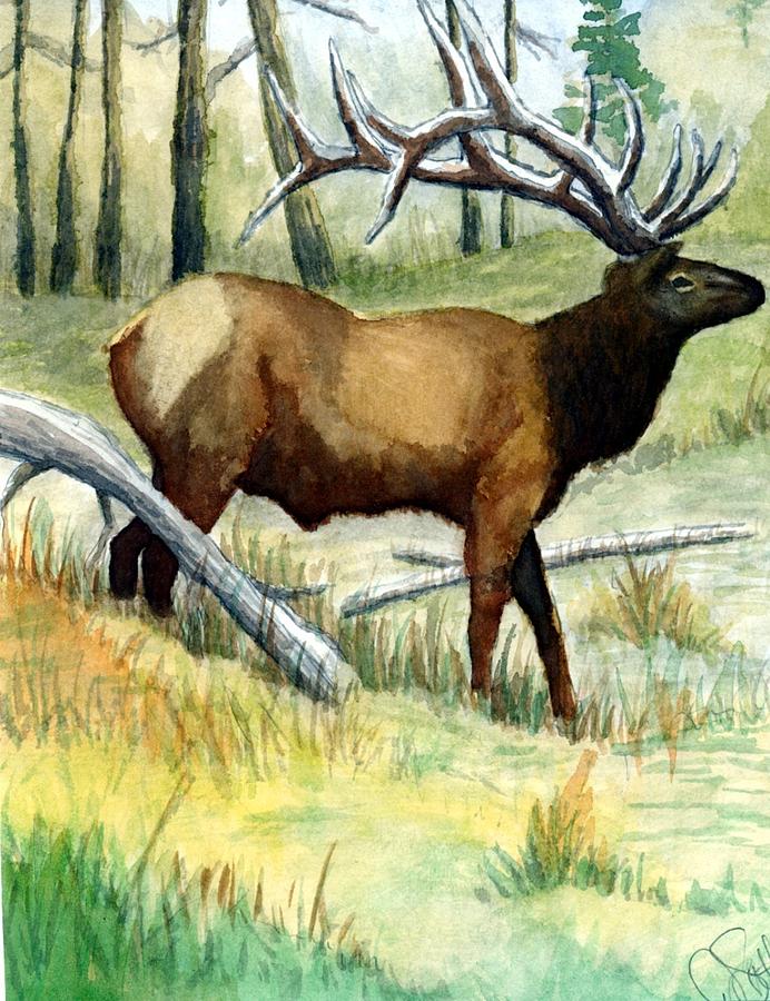 Wildlife Painting - Gash Flats Bull by Jimmy Smith