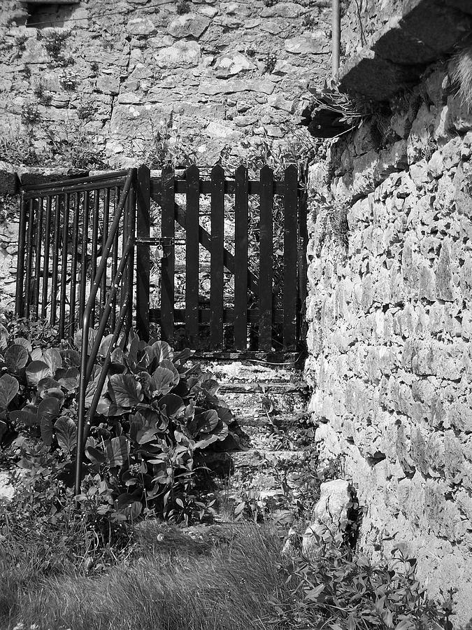 Castle Photograph - Gate at Dunguaire Castle Kinvara Ireland by Teresa Mucha