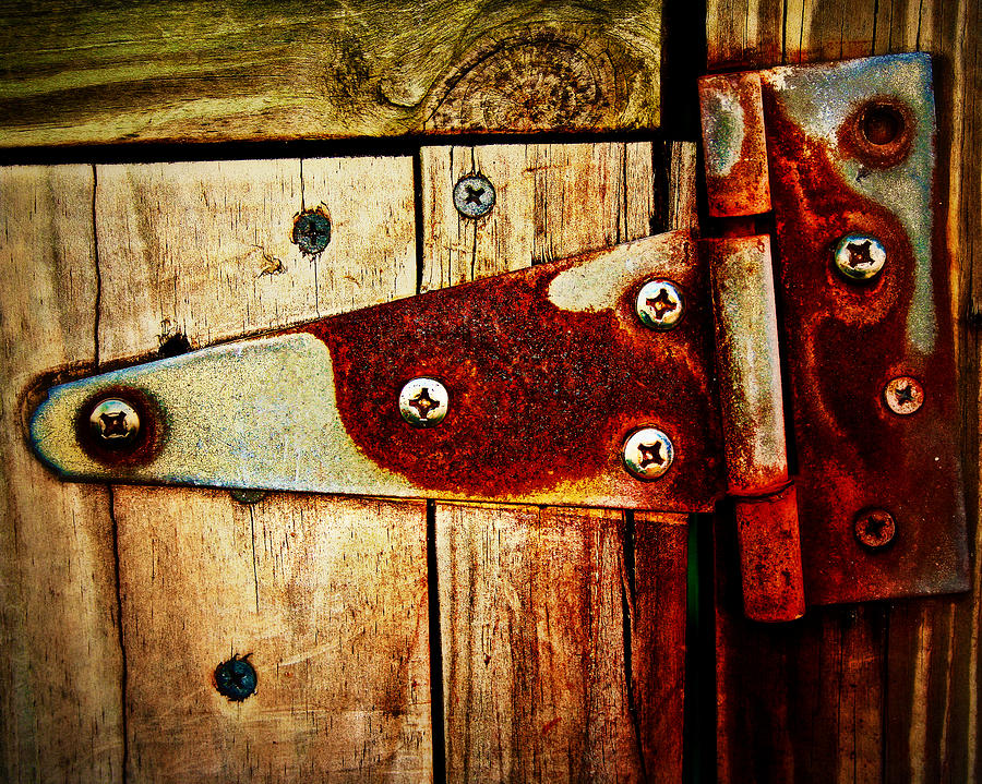 Gate Hinge Photograph by Perry Webster