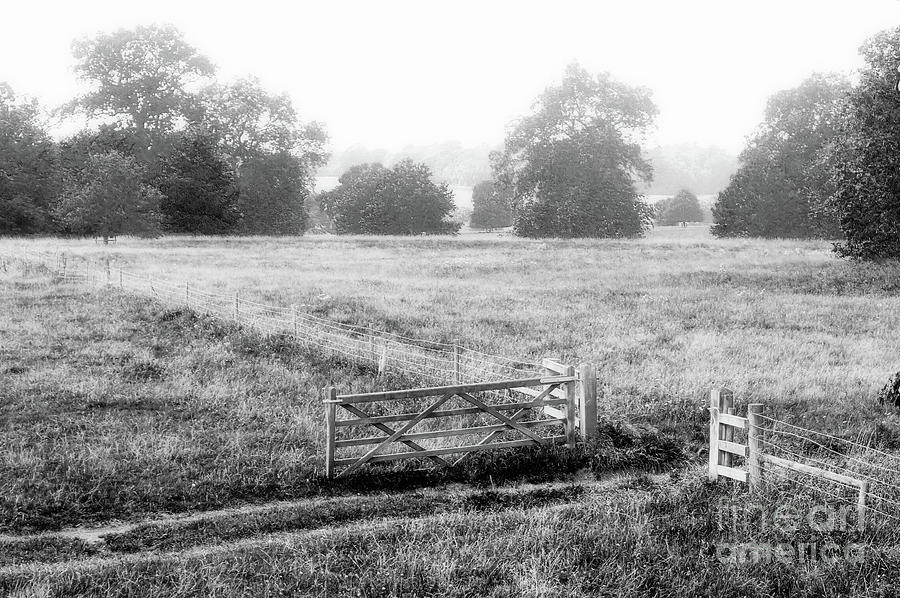 Gate in a meadow Photograph by Tom Gowanlock