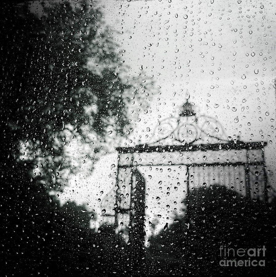 The Vanderbilt Gate in the Rain - Conservatory Garden Central Park Photograph by Miriam Danar