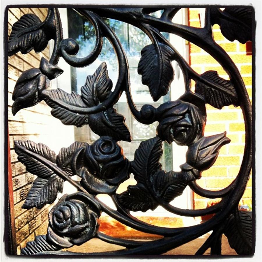 Rose Photograph - #gate #ironwork #rose #door by Cassandra Eilidh
