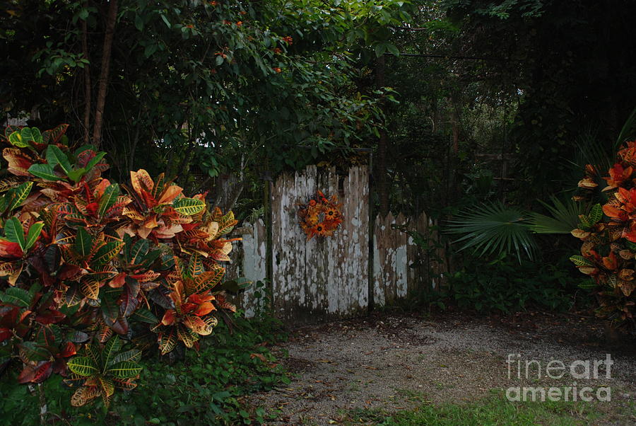 Gate by Jim Goodman Gate by Jim Goodman