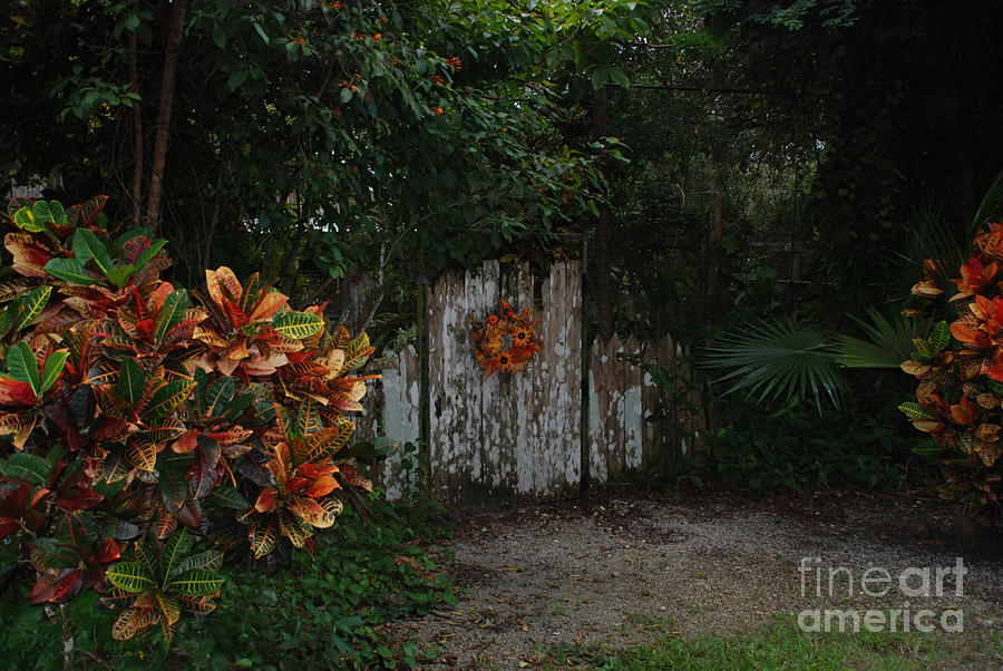 Gate Photograph by Jim Goodman