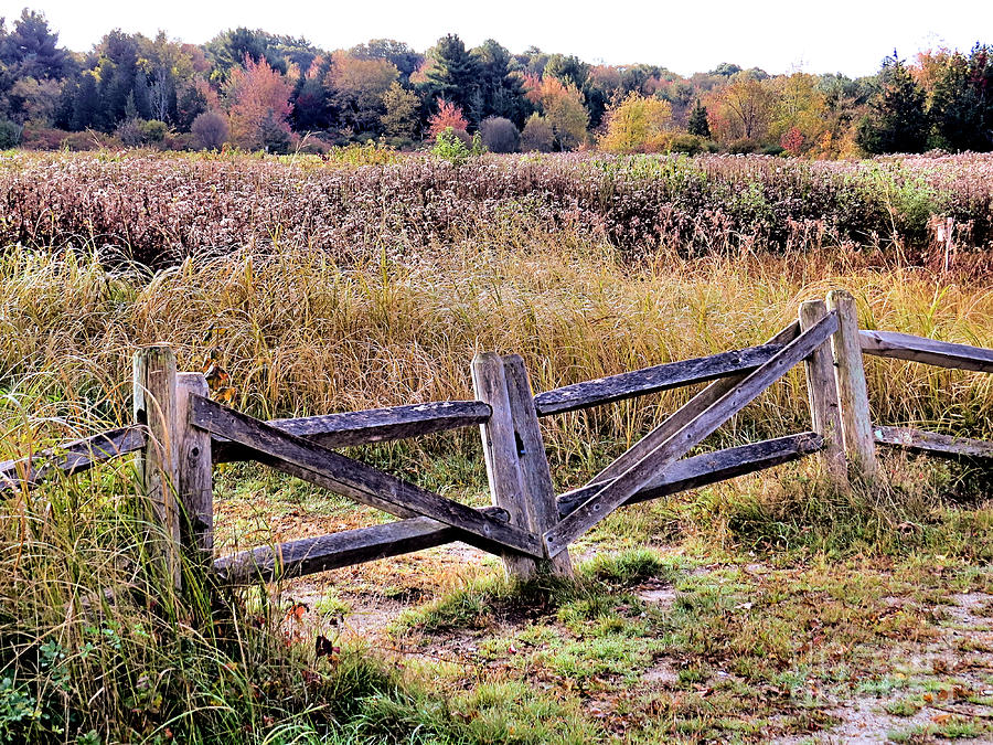 Fall Photograph - Gate to Bay Circuit Trail by Janice Drew