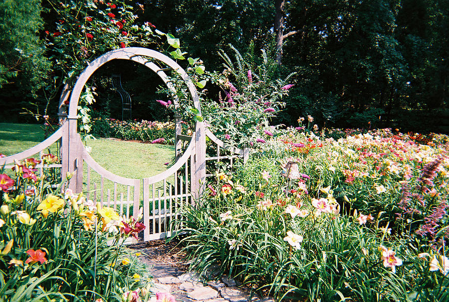 Gate to Paradise Photograph by Sandy Collier