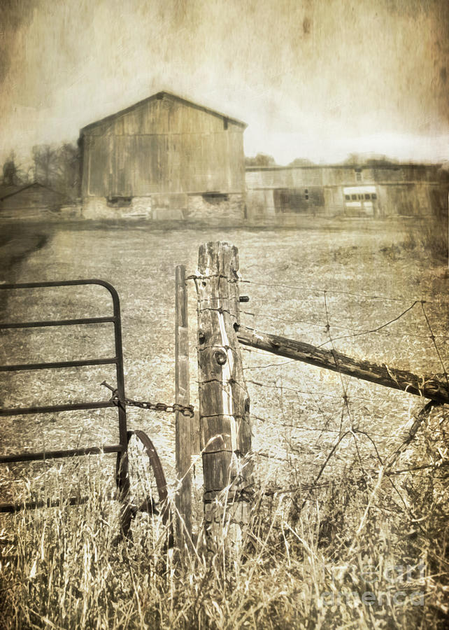 Gate to the Barn Photograph by Hal Halli