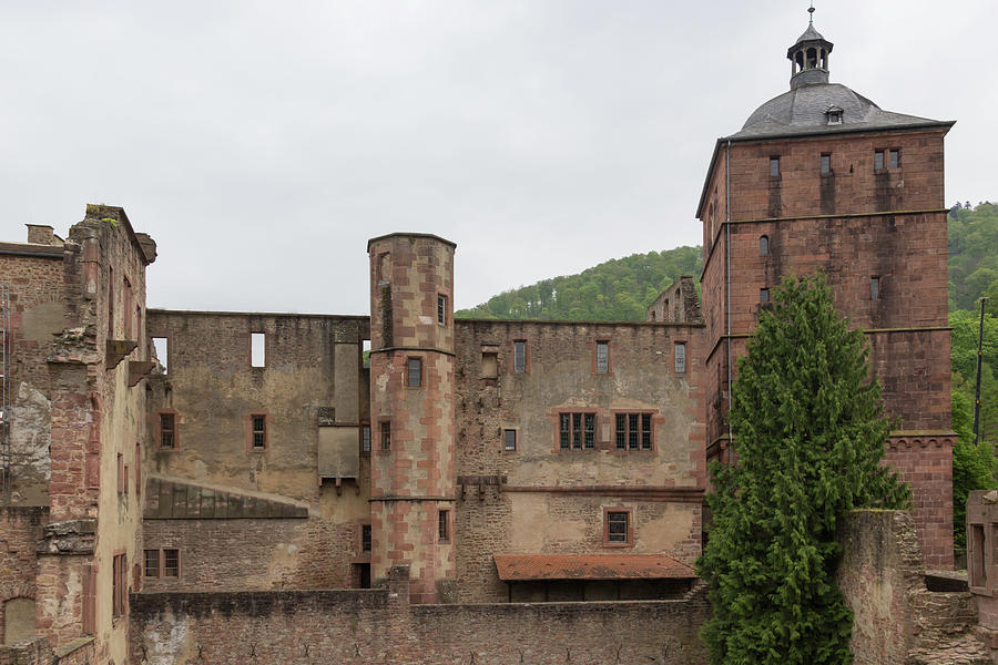 Gate Tower Heidelberg Castle Photograph by Teresa Mucha
