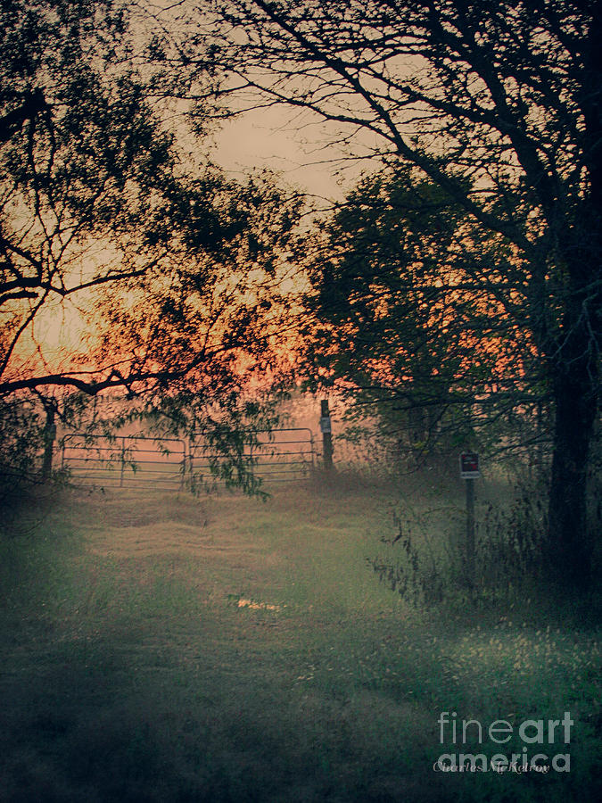 Gate Photograph - Gated Sunset by Charles McKelroy Gate Photograph - Gated Sunset by Charles McKelroy