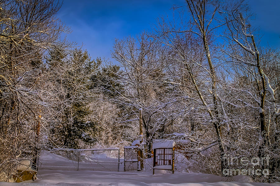 Winter Photograph - Gates closed by Claudia M Photography