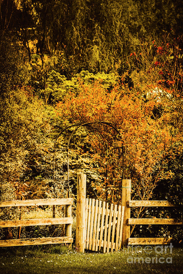 Gates in fall Photograph by Jorgo Photography