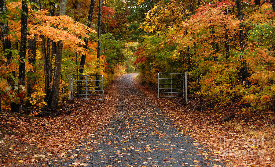 Gateway Photograph by Cynthia Pope - Fine Art America