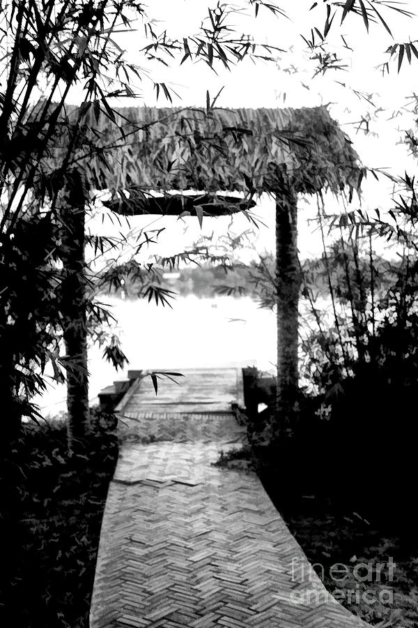 Gateway to Mekong Delta Black White  Photograph by Chuck Kuhn