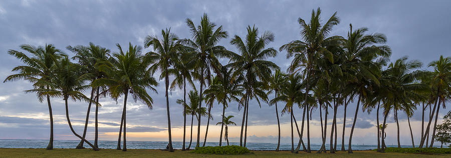 Gathered on the Island Photograph by Jon Glaser