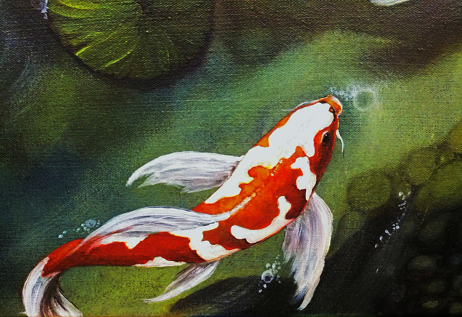 Fish Painting - Gathering In Light Up Close #3 by Vivian Casey Fine Art