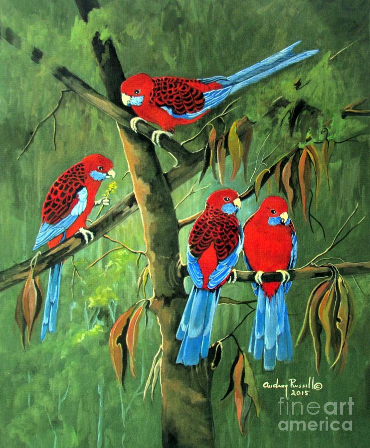 Gathering of Crimson Rosellas Painting by Audrey Russill