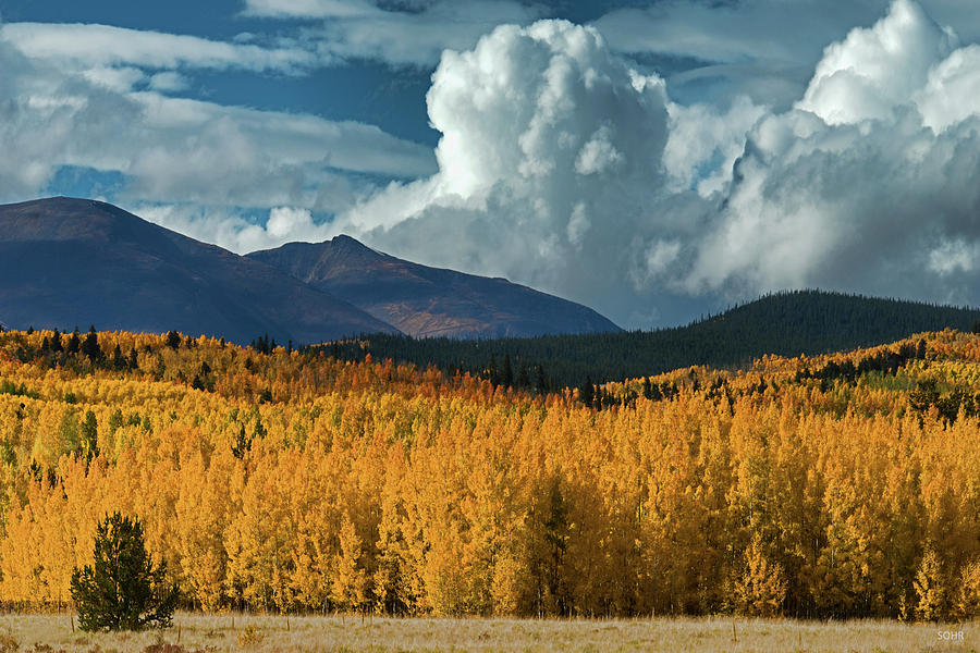 Gathering Storm - Park County CO Photograph by Dana Sohr