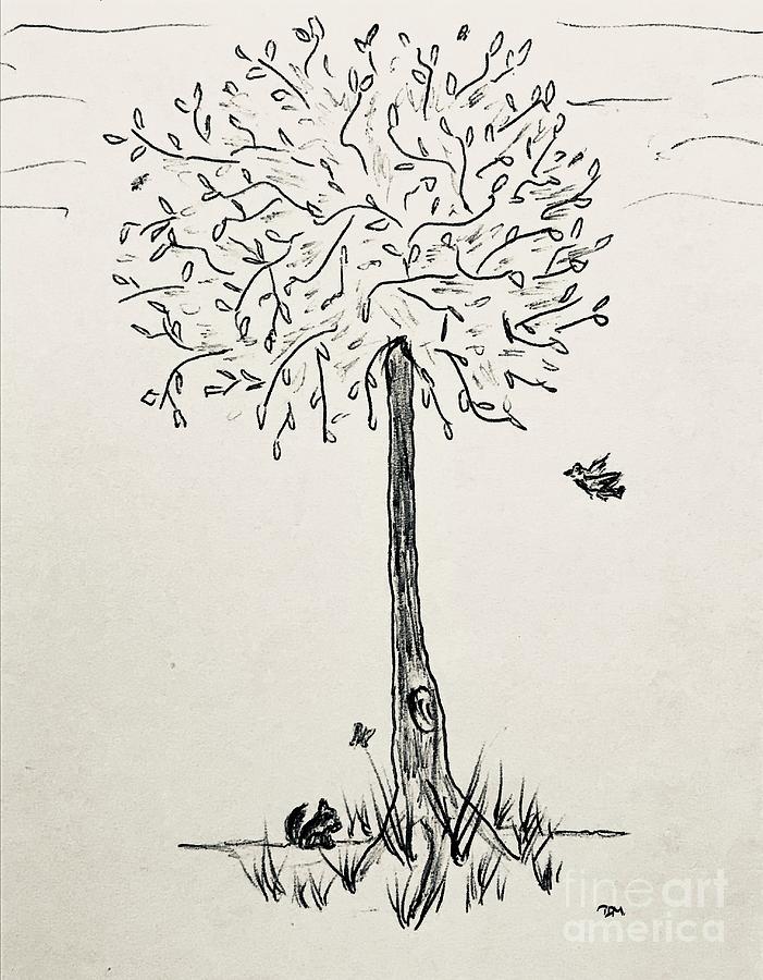 Gathering Tree Drawing by Mesa Teresita