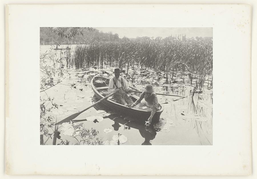 Gathering Water-Lilies, Peter Henry Emerson, 1885 - 1886 Painting by ...