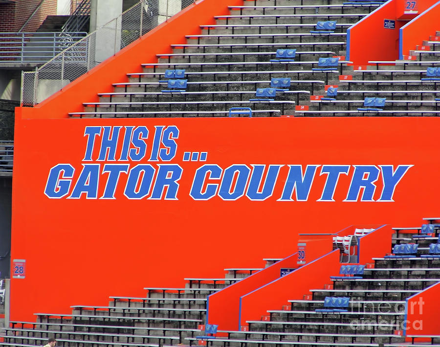 Gator Country Photograph by D Hackett