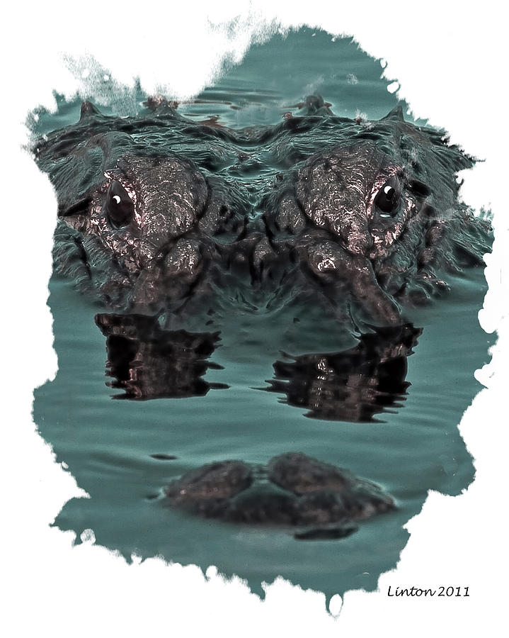 Alligator Digital Art - Gator Gaze by Larry Linton