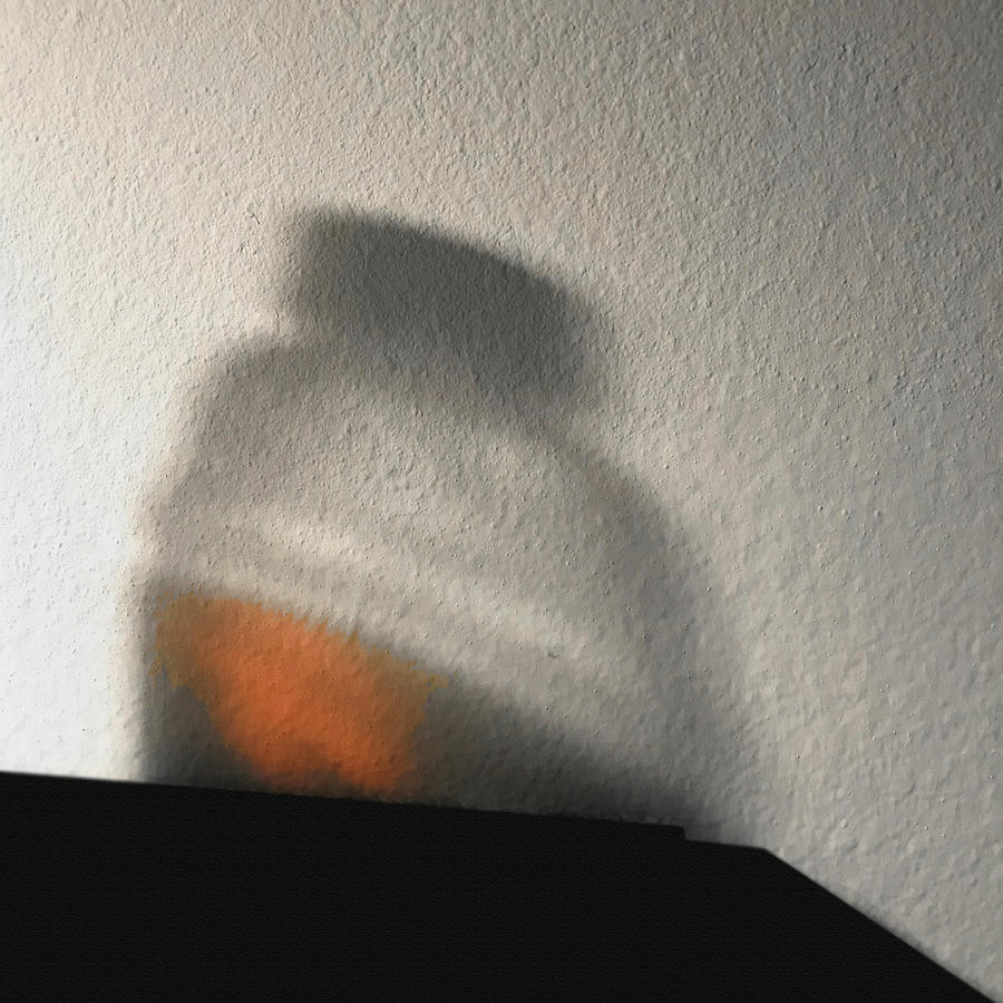 Gatorade Shadow bPlay Photograph by Stan  Magnan