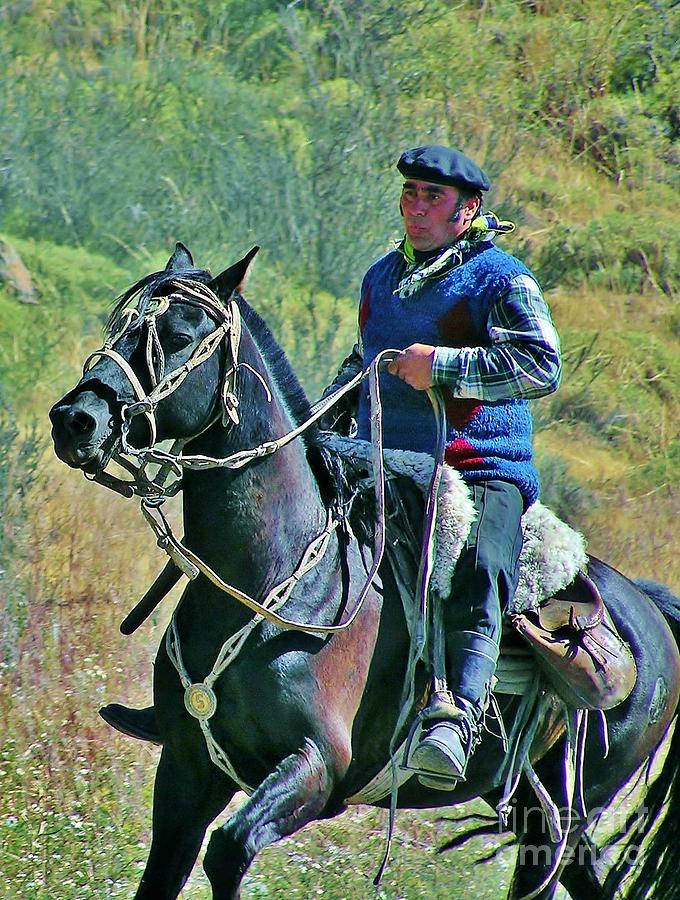 Gaucho on Horse Photograph by Michele Penner