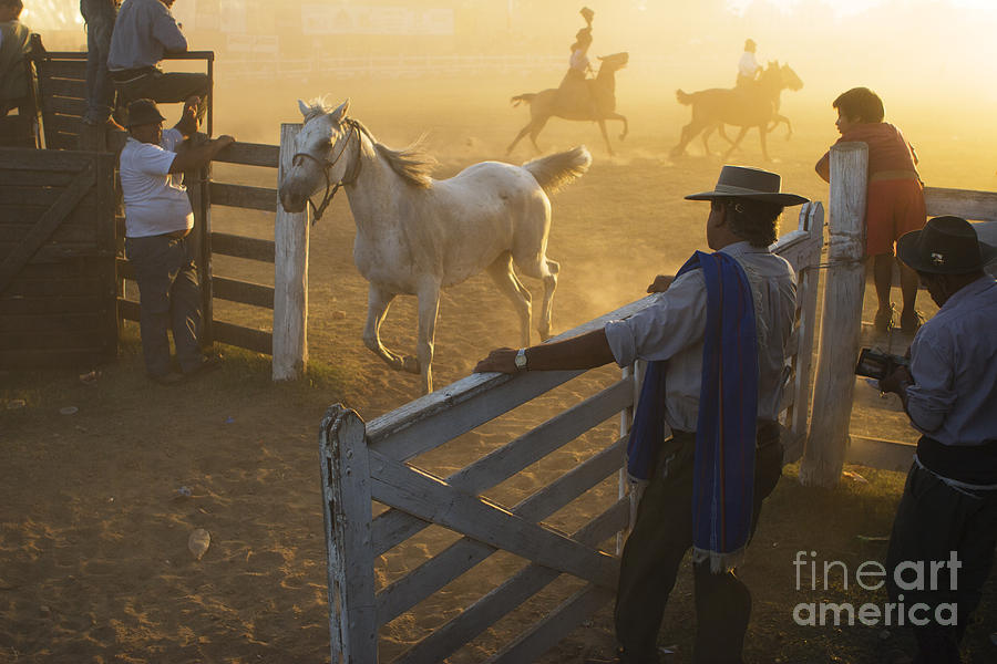 Gauchos at the Gate Photograph by Craig J Satterlee