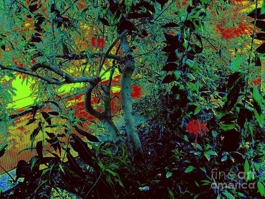 Gauguin Garden 2 Photograph by Nancy Kane Chapman