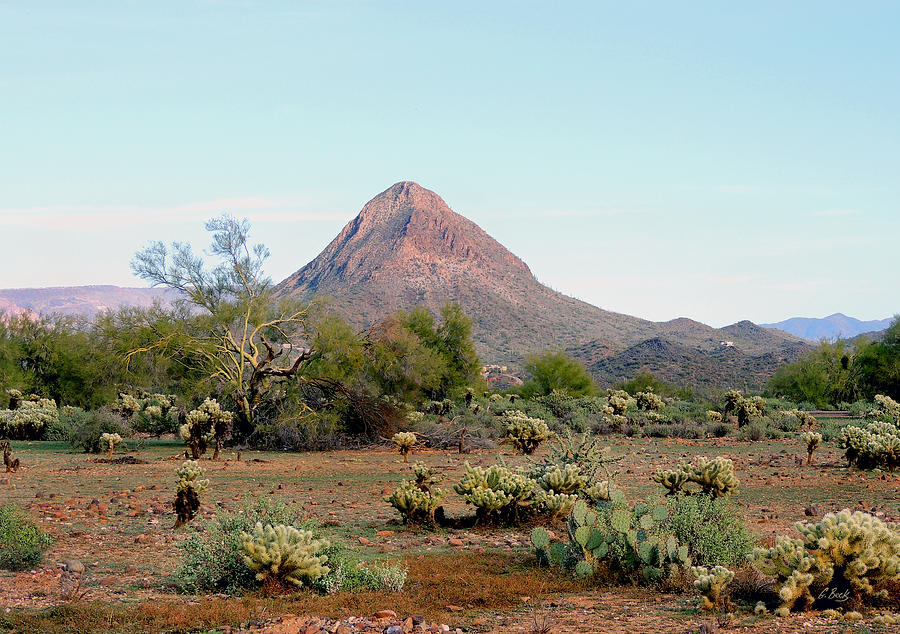 Scottsdale Photograph - Gavilan Peak, Arizona by Gordon Beck