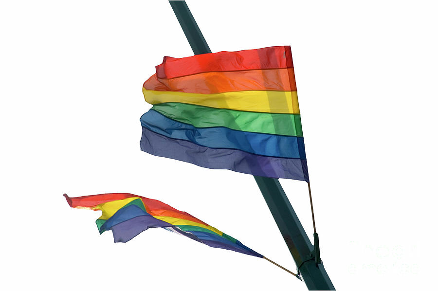 Gay Flag on white background Photograph by Ilan Rosen