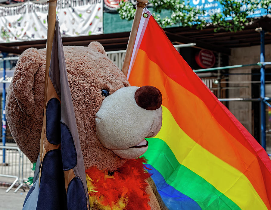 Gay Pride Parade NYC 6_24_2018 Pride Flag and Teddy Bear Photograph by Robert Ullmann