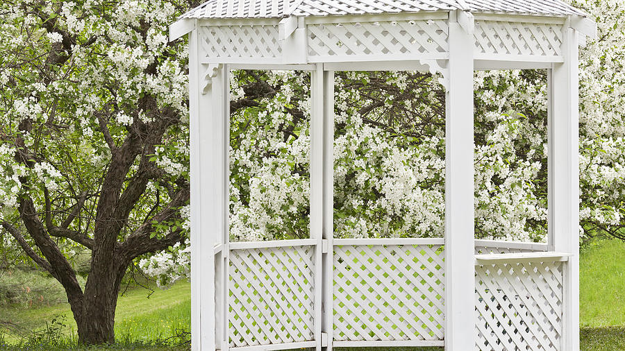 Gazebo And Spring Blossoms Photograph by Alan L Graham