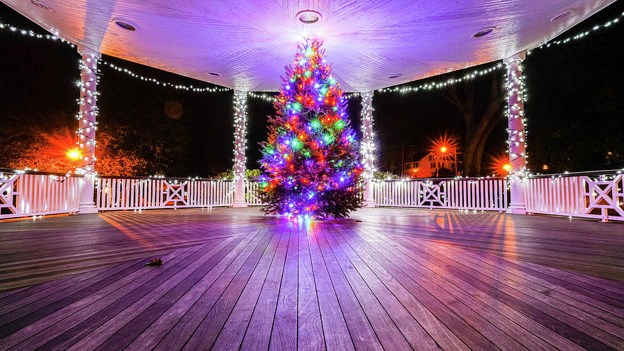 Gazebo Christmas Tree Photograph by Sean Mills